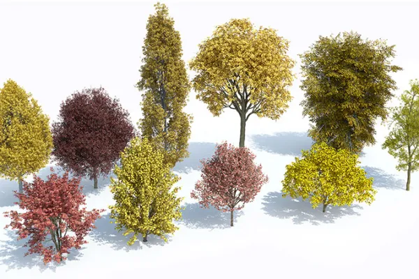 3D Bäume aus dem Lauberk Plants Kit 6, jeder Baum detailliert aufbereitet