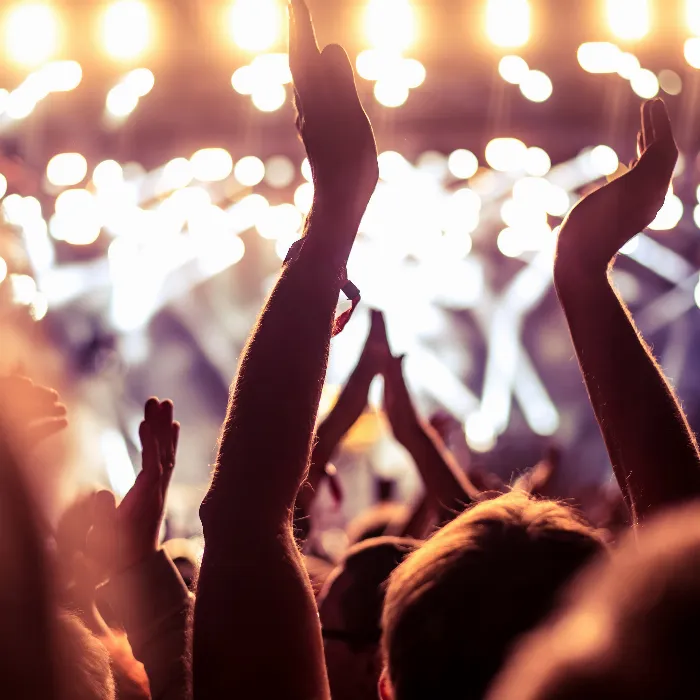콘서트 포토그래피: 올바른 톤