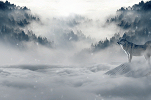 Wolf in einer Schneelandschaft, GIF-Animation, in der Schneefall animiert wird