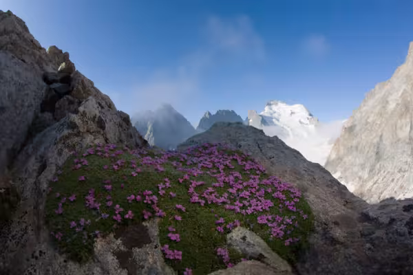 Fotografía de montaña: montañas y prados