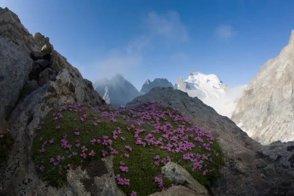 Bergfotografie: Gebirge und Wiese