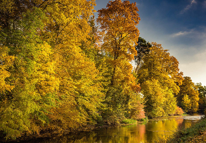 Herbst-Fotografie: Fotoshooting-Tipps