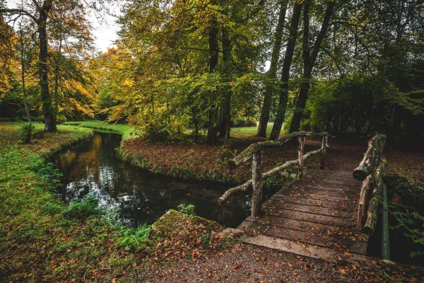 Fotografia jesienna, sesja zdjęciowa most nad strumieniem