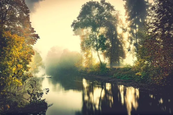Fotografia jesienią, sesja zdjęciowa w mglistym otoczeniu nad rzeką.