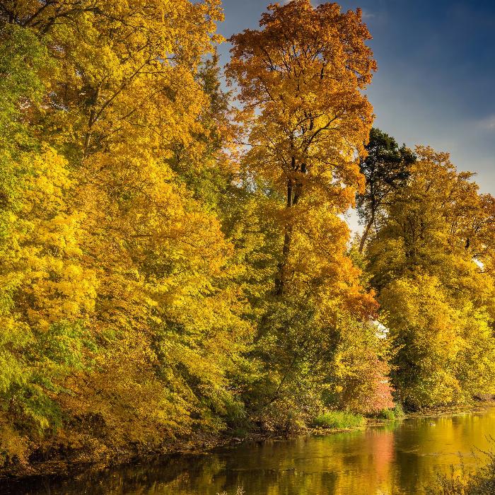 Photographie d'automne : conseils pour séance photo