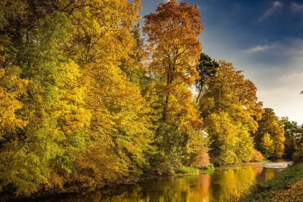 Fotografia jesienią, sesja zdjęciowa na skraju lasu nad rzeką