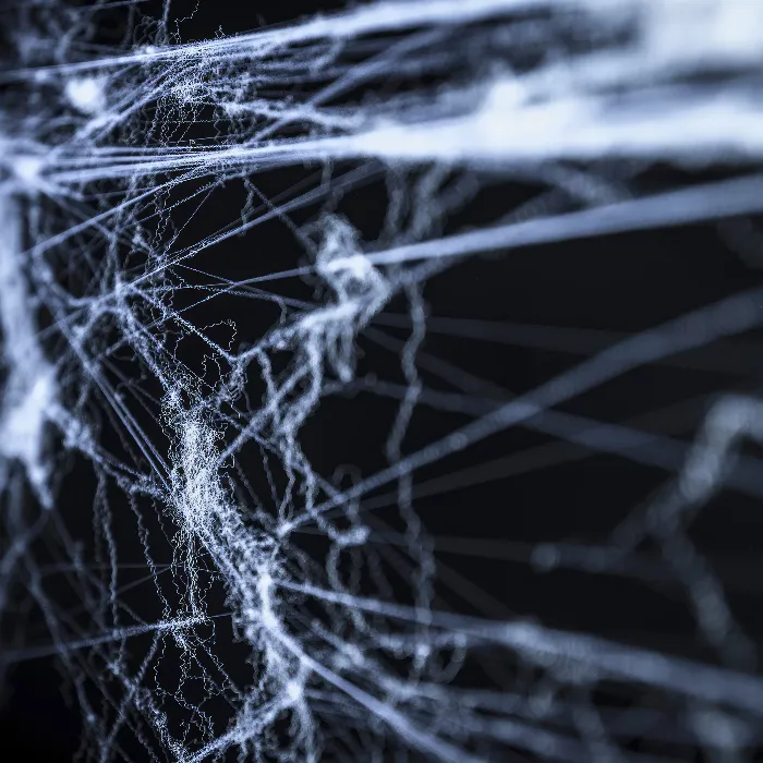 Spinnennetz-Bilder: Vorlagen von Spinnweben für deine Composings