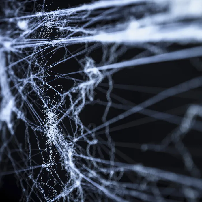 Spider web images: Templates of spider webs for your composings