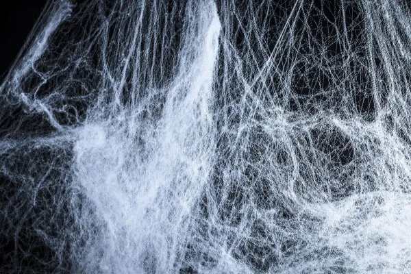 Spinnennetze vor schwarzem Hintergrund zur Einarbeitung in eigene Bilder