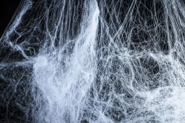Spider webs against a black background to incorporate into your own images