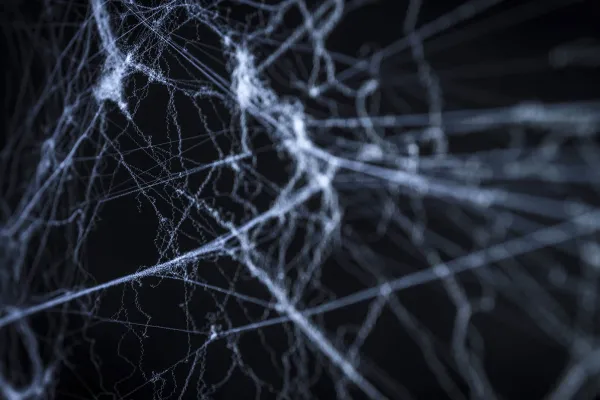 Cobwebs against a black background