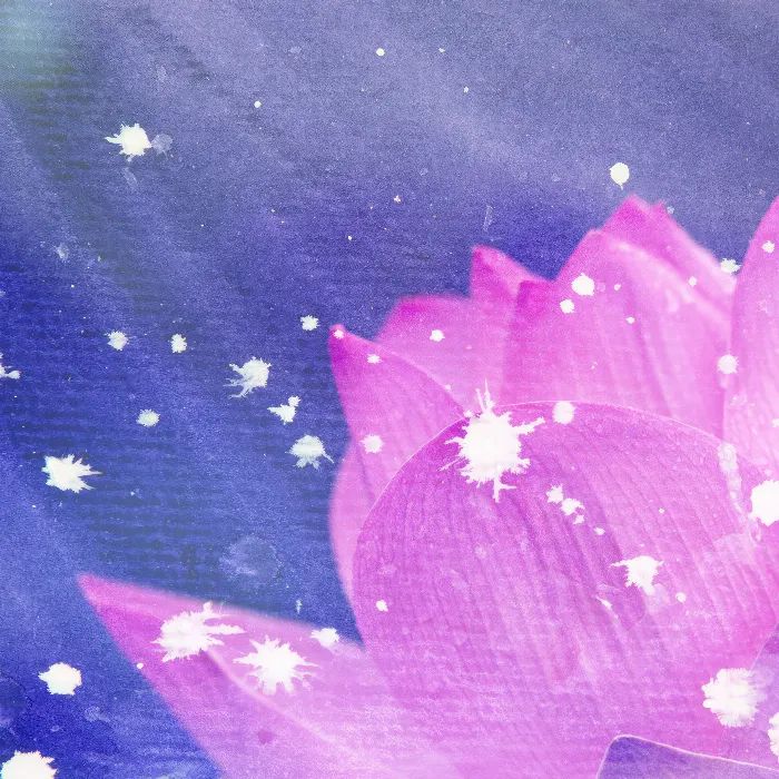 Over 100 watercolor pictures