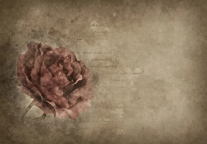 Beautiful, artistic wallpapers: Shell and rose pictures