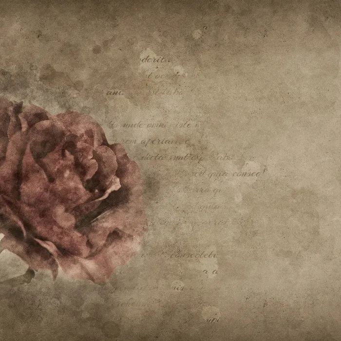 Beautiful, artistic wallpapers: Shell and rose pictures