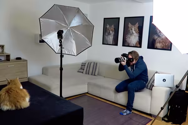 Hinter den Kulissen bei einem Katzen-Shooting