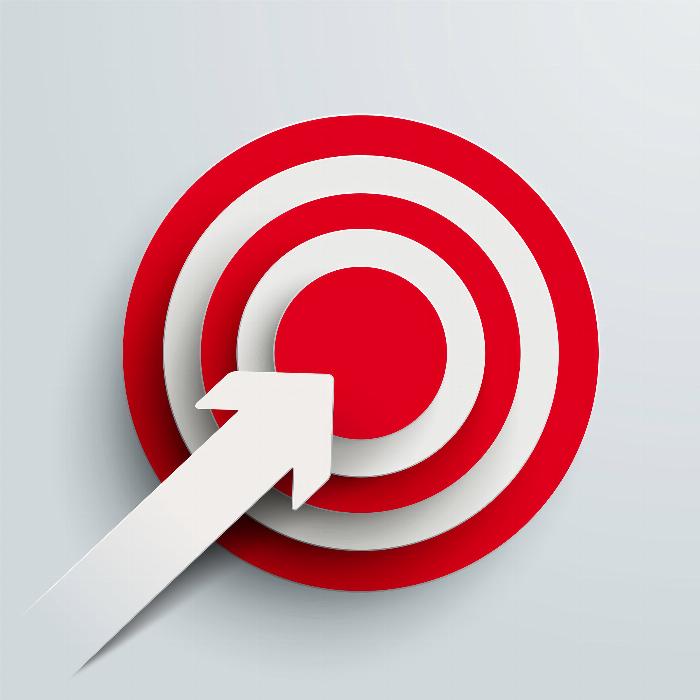 Acquisition de clients via Facebook et Google AdWords.