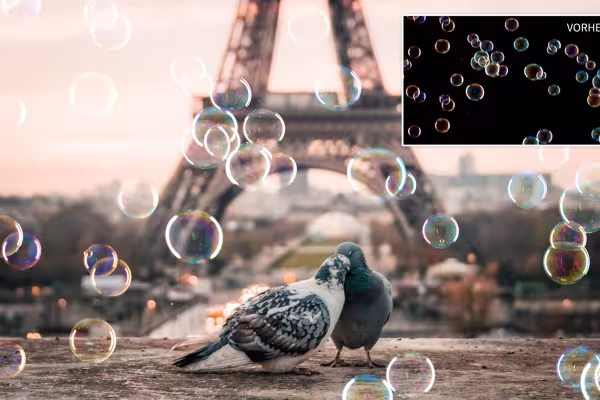 Pigeons au pied de la tour Eiffel, bulles de savon incrustées