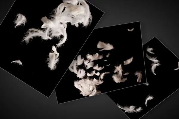 Feder-Bilder mit schwebenden weißen Federn zum Einarbeiten in Compositings.