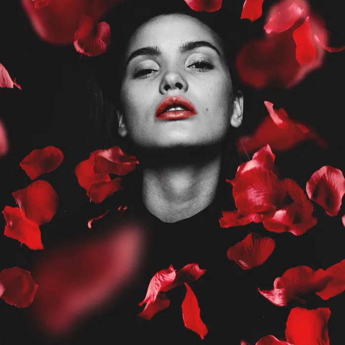 Images & textures: Rose petals from red roses