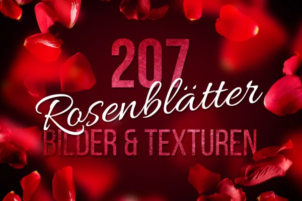 Text, umgeben von fallenden Rosenblättern roter Rosen. Beispiel für die Anwendung der Texturen.