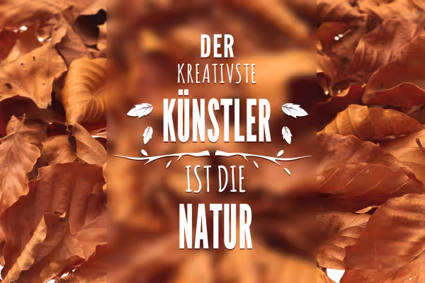 Exemple d'utilisation d'images de feuilles d'automne pouvant être utilisées comme superpositions pour vos propres images d'automne.
