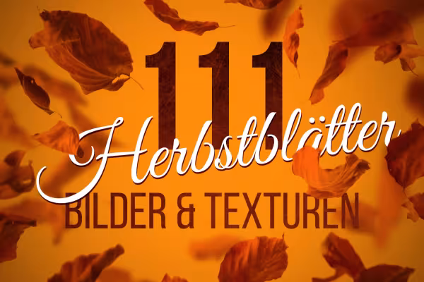 Images de feuilles d'automne à utiliser comme textures ou superpositions dans vos propres images d'automne.