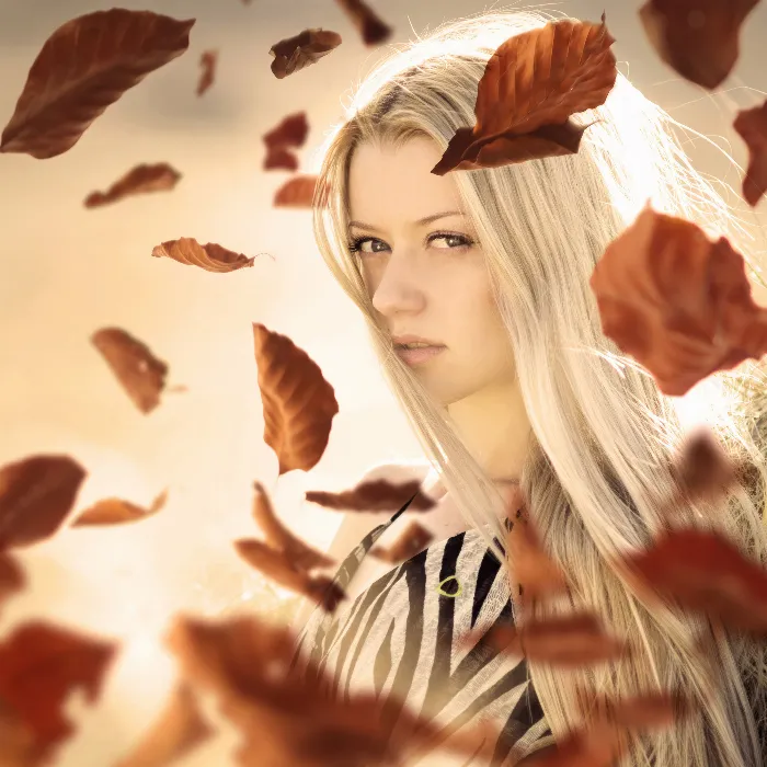 Hochaufgelöste Bilder: fallende Herbstblätter & Herbstlaub