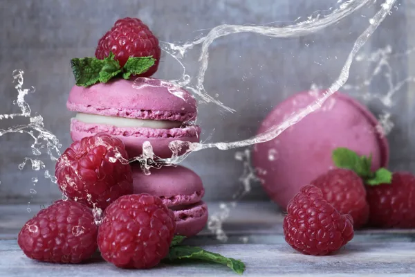 Die Pinsel eignen sich zum Beispiel zur auffrischenden Darstellung von Food-Fotos.