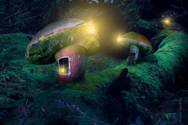 100% Fantasy en Photoshop, ce montage sera développé étape par étape comme image finale dans la formation vidéo.