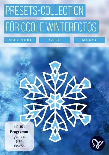 Winterfotografie: Presets, Overlays, Texturen, Aktionen – 700 Assets für coole Winter-Fotos