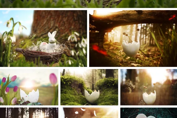 Easter egg pictures