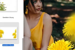 Photoshop-Anleitung: Bilder von Pusteblumen und Löwenzahn als Overlays verwenden