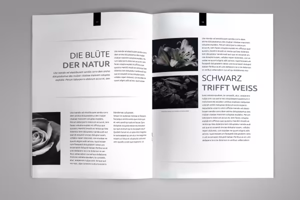 Beispiel für Einsatz von Schluss- und Trennlinien in Broschüre