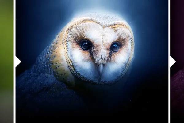 Ugle i mystisk lys, oprettet med en Photoshop-handling.