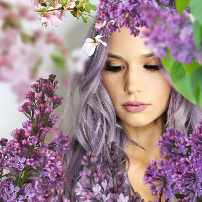 Images with pink cherry blossoms and purple lilacs against a transparent background