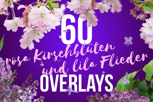 Pictures of cherry blossoms and lilacs