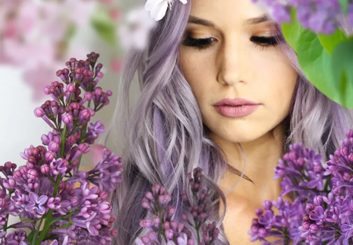 Images with pink cherry blossoms and purple lilacs against a transparent background