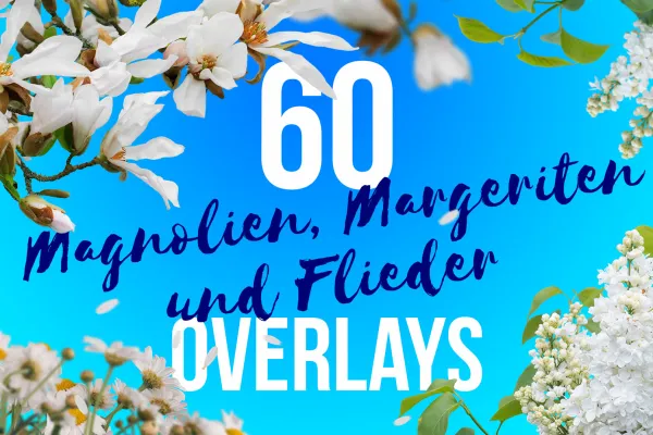 Bilder mit Magnolien, Margeriten und Flieder