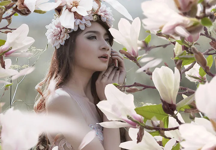 Bilder mit Magnolien, Margeriten und Flieder – weiße Blüten vor transparentem Hintergrund