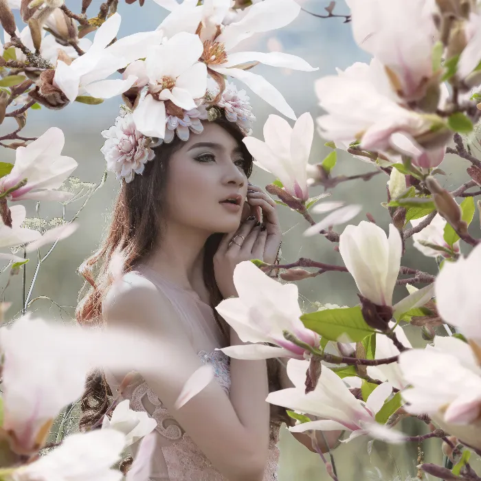 Pictures with magnolias, daisies and lilacs - white flowers against a transparent background