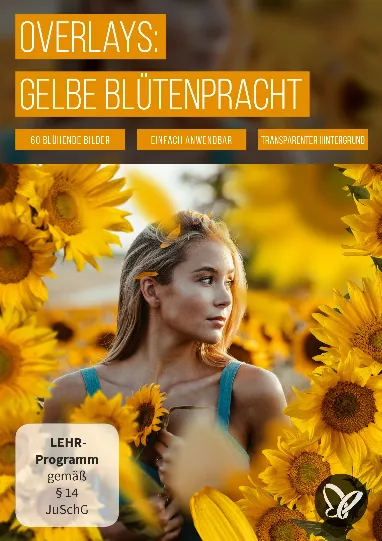 Bilder mit Sonnenblumen und Margeriten – gelbe Blüten vor transparentem Hintergrund