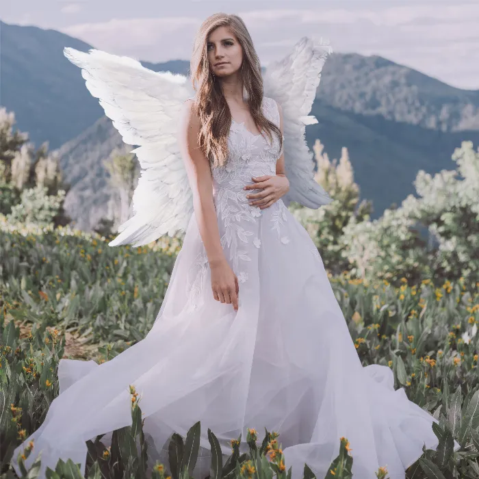 Fantastic wing pictures: Angels and butterflies