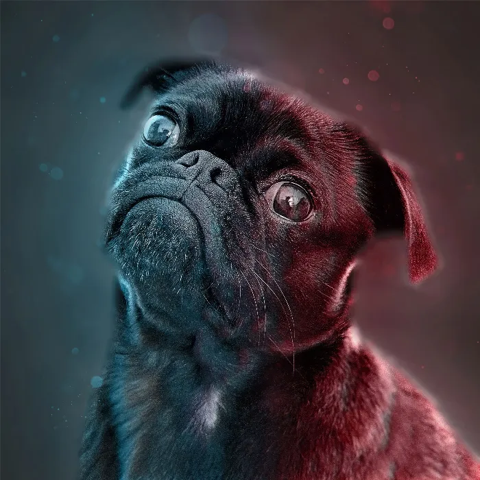 Photoshop handling "2Light": Atmosfærisk dobbeltbelysning til dine fotos.