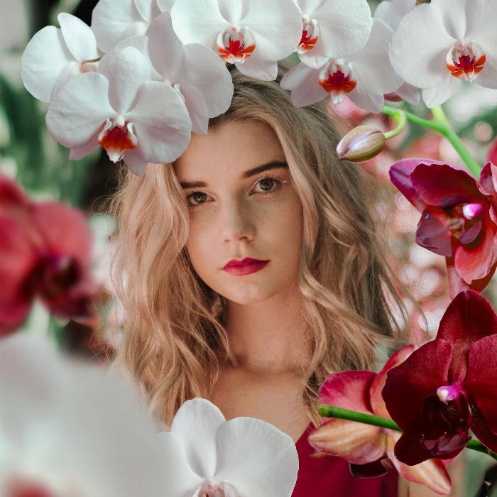 Immagini con orchidee su sfondo trasparente.