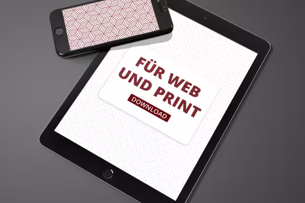 Diseños web en los que se utilizaron patrones vectoriales