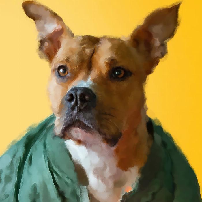 Convierta fotos en cuadros pintados: acción de Photoshop "Aspecto pintado"