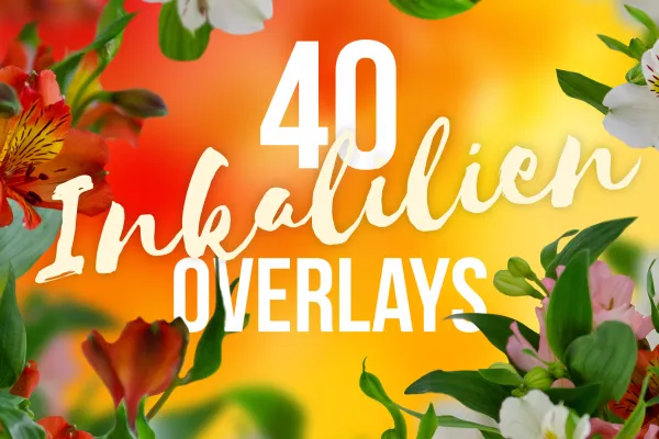 Pictures with incaliles, astromerias, pink, white and red-yellow flowers