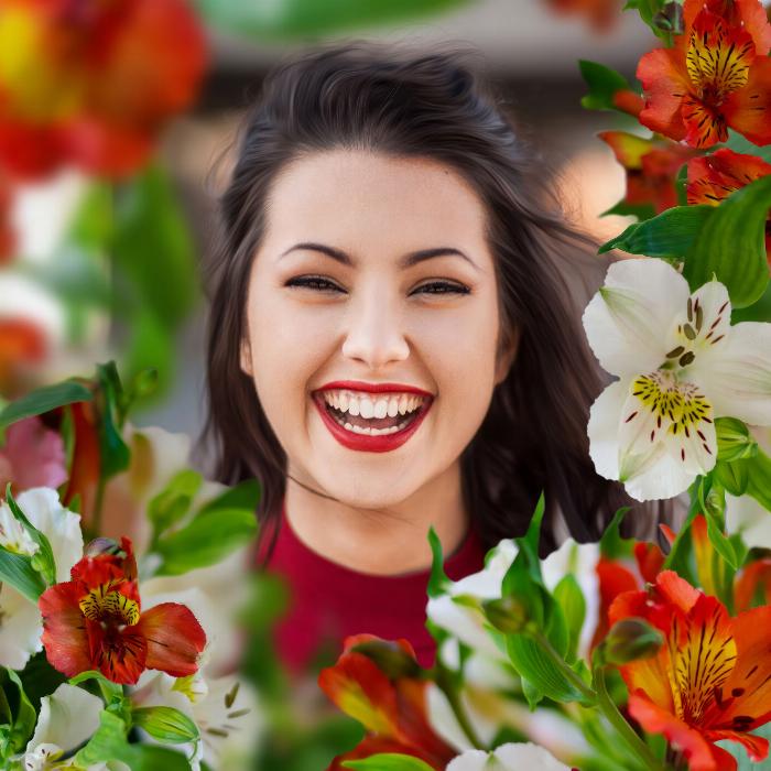 Incali: immagini colorate di alstroemeria per le tue foto