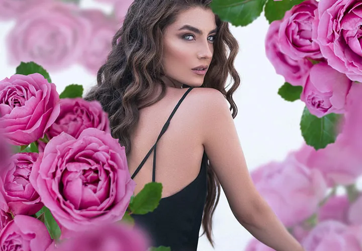 Rosas rosas y salmón: 55 imágenes para tus fotos