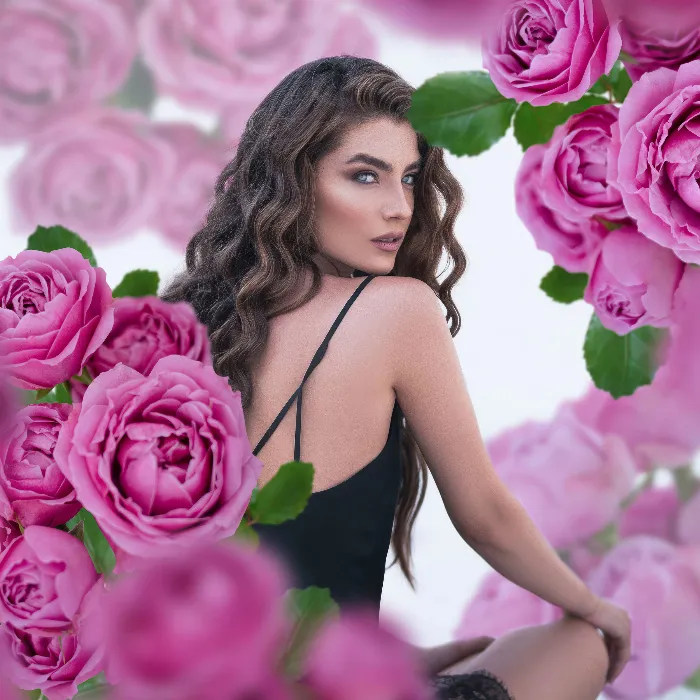 Pink and salmon roses: 55 images for your photos
